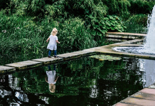 Backyard Water Features Installation in Ponte Vedra